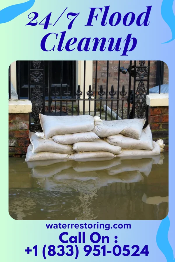 24/7 Flood Cleanup in Skyline View, PA