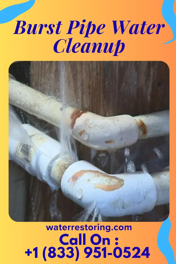 Burst Pipe Water Cleanup in Skyline View, PA