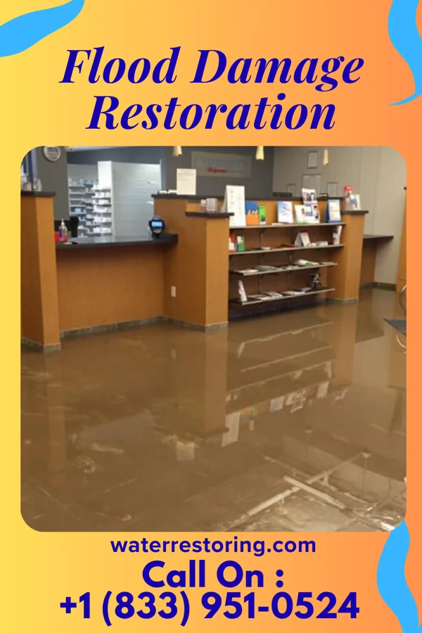 Flood Damage Restoration in Skyline View, PA