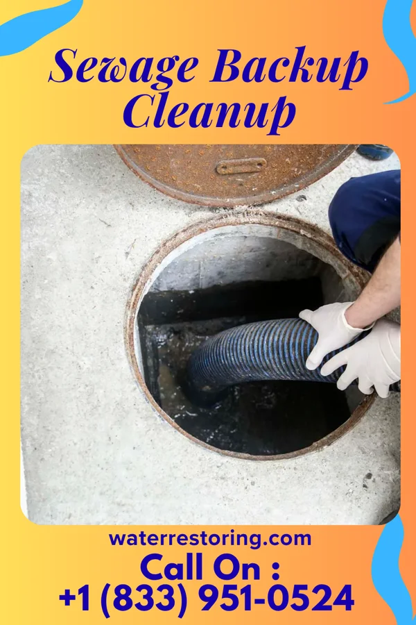Sewage Backup Cleanup in Skyline View, PA