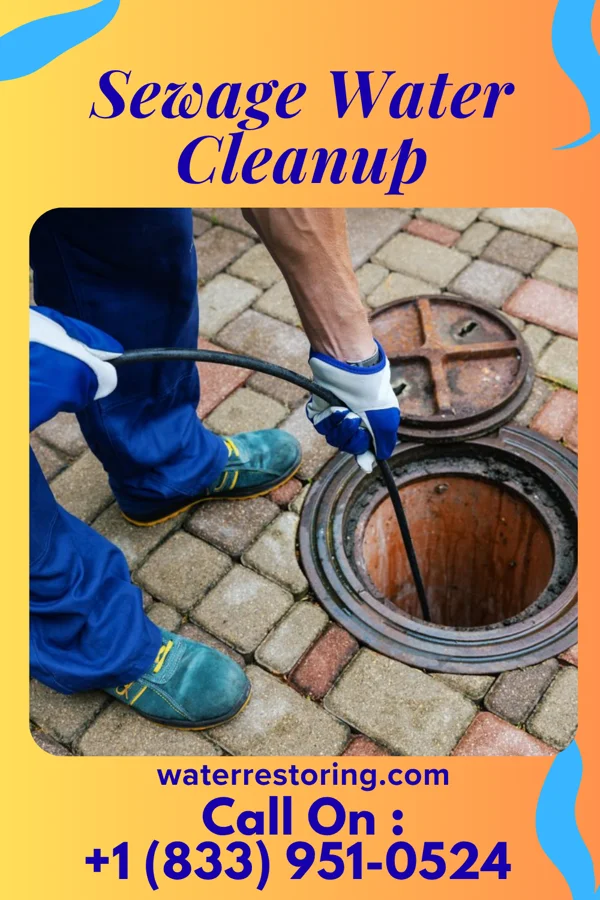 Sewage Water Cleanup in Skyline View, PA