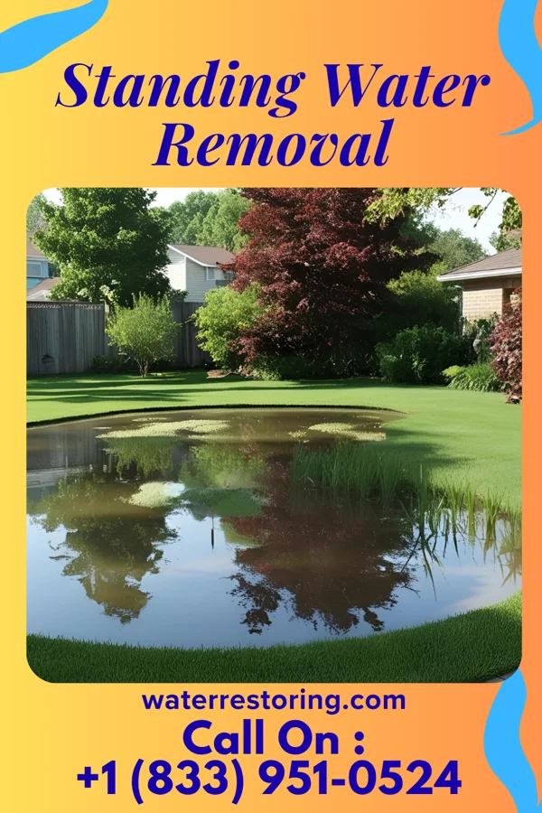 Standing Water Removal in Skyline View, PA